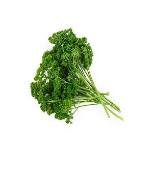 Parsley – Per Bunch