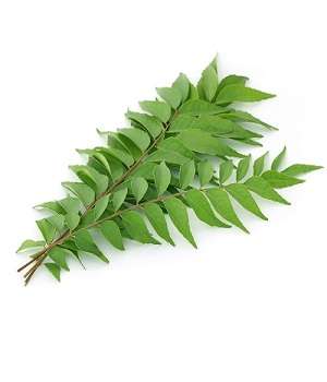 Curry Leaves – Per Bunch